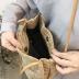 Tote Bag Women Small Satchel Bag Straw Beach Bag Cute Hobo Bags Fashion Tote Handbag Crossbody Summer Purse 2024