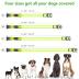 Vizpet LED Dog Collar, Light Up Dog Collar Adjustable USB Rechargeable Super Bright Safety Light Glowing Collars for Dogs(Large,Green)