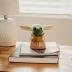 Silver Buffalo Star Wars: The Mandalorian Baby Yoda The Child Grogu 4-Inch Ceramic Mini Planter with Artificial Succulent