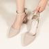 Ankis Closed Toe Heels for Women -Nude Pointed Toe Heels Low Block Chunky Women Pumps with Ankle Strap -2.25 Inch