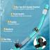 Snorkel Set Adults Snorkeling Gear Anti-Fog Panoramic View Swim Mask Dry Top Snorkel Kit with Carry Bag for Snorkeling Scuba Diving Swimming Travel