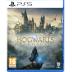 Hogwarts Legacy - PlayStation 5 | English | EU Import Region Free
