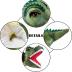 Puppets Hand Puppets Puppets for Kids, Dinosaur Hand Puppets Dinosaur Toys Plush Puppet Stuffed Hand Puppet Dinosaur Toy,Puppet Story Toys Dinosaur Puppets Dinosaur Toys for Kids 3 5 7 8 12