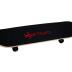 Pro Complete Skateboards for Beginners Adults Youths Teens Kids Girls Boys 31"x8