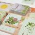 Planted Game by Phil Walker-Harding - Buffalo Games - Collect and nurture your houseplants.- Adult game night - Deck building game