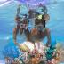 2022 Version Adults Mask Fins Snorkel Set, Snorkeling Gear for Adult with Fins, Snorkel Sets with Flippers, Adult Anti Leak Scuba Gear with Adjustable Fins Diving Mask Full Dry Top Snorkel with Bag