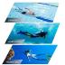 Snorkel mask Snorkeling Set for Adults and Youth, Diving mask and Full Dry Snorkel Swim Googles is Suitable for Snorkeling, Dive Scuba Diving, Swimming