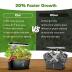 Indoor Garden Hydroponics Growing System: 12 Pods Plant Germination Kit Garden Kit Growth Lamp Countertop with LED Grow Light Hydrophonic Planter Grower Harvest Vegetable Lettuce