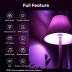 Linkind Matter Smart RGBTW Bulb, Smart Light Bulbs Work with Apple Home, Siri, Google Home, Alexa, SmartThings, Color Changing Light Bulbs Music Sync, Mood Lights, 2.4Ghz WiFi A19 E26 60W 800LM 3 Pack