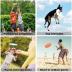 Sports Flying Disc - Compeition Flying Discs for Beach, Backyard, Lawn, Park, Camping and More - Great for All Ages Outdoor Flying Disc Training