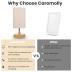 Caromolly Light Therapy Lamp, Sunlight Lamp 10000 Lux with Remote Control, 3 Color Temperature & 4 Brightness Level & Timer, Daylight Lamp for Home, Office, Decoration