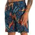 APTRO Men's Swim Trunks with Compression Liner 9" Board Shorts with Zipper Pocket Bathing Suit Swimwear