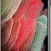 SAMSUNG Electronics Galaxy S21 Ultra 5G | Factory Unlocked Android Cell Phone | 5G Smartphone | Pro-Grade Camera, 108MP High Res | 128GB, Phantom Black (SM-G998U) w/ 25W Charger Bundle
