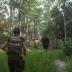 The Last of Us Part II Remastered - PlayStation 5