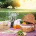 Picnic Basket with Blankets and Bamboo Plates Picnic Supplies Set Basket with Lid and Handle Wicker Picnic Basket Sturdy Woven Body with Washable Lining for Camping(Red)
