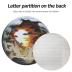 Bgraamiens Puzzle-Dawn- 3D Visual Dawn Inside a Cave 1000 Pieces Round Puzzle for Adult,Unique Puzzle Autostereoscopy Puzzle Hard Challenge Puzzle for Adult