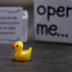 I Love You Gift, Duck Gift, Matchbox Gift, Gift For Boyfriend, Gift For Girlfriend, Valentine's Day Gift