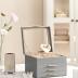 SONGMICS Jewelry Box with Glass Lid, 4-Layer Jewelry Organizer, 3 Drawers, for Big and Small Jewelry, Jewelry Storage, Modern Style, 8 x 9.1 x 6.5 Inches, Dove Gray and Gold Color UJBC173G01