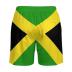 Men's Swim Trunks Quick Dry Swimming Trunks Upside Down Pineapple Beach Shorts with Mesh Lining and Pockets