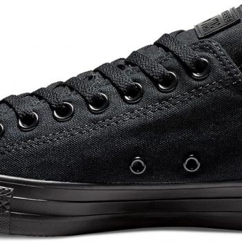 Converse Unisex-Adult Chuck Taylor All Star 2018 Seasonal Low Top Sneaker