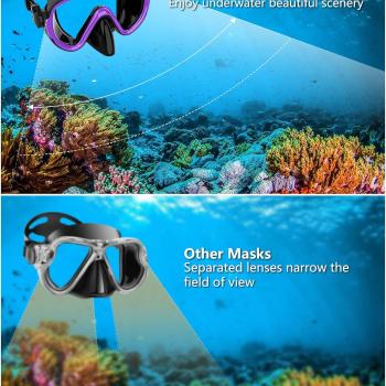 Bairuifu 2 Packs Dry Snorkel Mask Set Snorkeling Gear for Adults Scuba Diving Mask Swimming Glasses Swim Dive Mask Nose Cover Free Diving