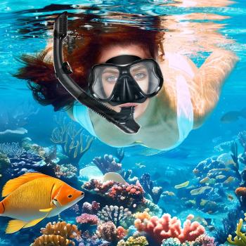 Snorkeling Gear for Adults, 180° Panoramic Wide View, Anti-Fog Lenses Scuba Diving Mask, Anti-Leak Snorkel Goggles Dry Top Snorkel, Adjustable Strap Snorkel Set with Carry Bag