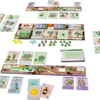 Planted Game by Phil Walker-Harding - Buffalo Games - Collect and nurture your houseplants.- Adult game night - Deck building game