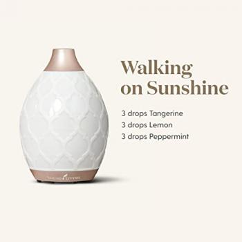 Young Living Essential Oil Home Ultrasonic Desert Mist Diffuser