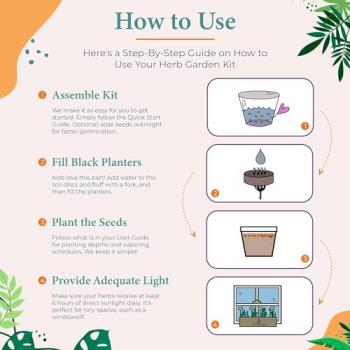 Indoor Herb Garden Kit, 4 Non-GMO Seeds with Reusable Pots, Planter – Wood Planting Box for Kitchen Windowsill with Basil, Parsley, Cilantro, Thyme - Easy DIY Indoor Plant Starter Gifts