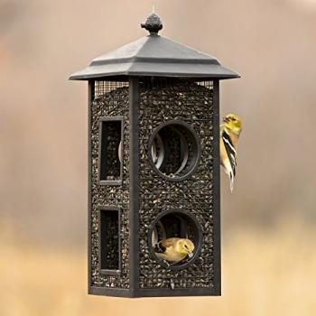 Perky-Pet B00303 Fly-Through Wild Bird Feeder, 1 Pack, Black