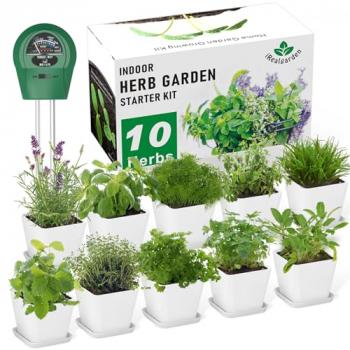 Herb Garden Kit Indoor Herb Garden Starter Kit - 10 Variety Herbs Kitchen Window Herb Garden Planter Indoor & Outdoor Growing Kit for Windowsill Countertop - Unique Gardening Gift for Women