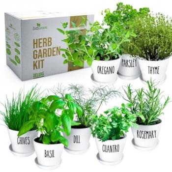 Deluxe Herb Garden Kit - 8 Variety Herbs for Indoor & Outdoor – Get Growing with Pots, Potting Soil for Window Herb Garden. (8 set deluxe herb kit)