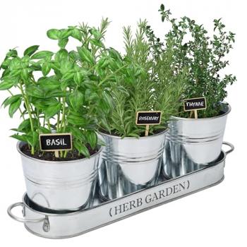 PERFNIQUE Indoor Herb Garden, Herb Garden Planter for Indoor/Outdoor, Farmhouse Plant Pots, Windowsill Herb Garden with Tray(Planter only) Window Pots