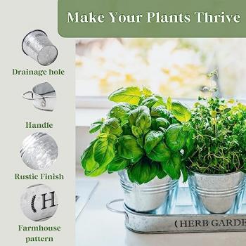 PERFNIQUE Indoor Herb Garden, Herb Garden Planter for Indoor/Outdoor, Farmhouse Plant Pots, Windowsill Herb Garden with Tray(Planter only) Window Pots