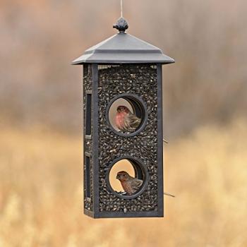 Perky-Pet B00303 Fly-Through Wild Bird Feeder, 1 Pack, Black