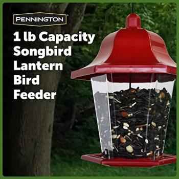 Pennington Songbird Lantern Bird Feeder, Red, 8 inches high 6 inches wide at top, (100511311)