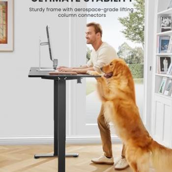 ErGear Height Adjustable Electric Standing Desk, 48 x 24 Inches Sit Stand up Desk, Memory Computer Home Office Desk (Black)