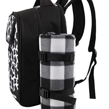 apollo walker Picnic Backpack Bag for 2 Person with Cooler Compartment, Detachable Bottle/Wine Holder, Fleece Blanket, Plates and Cutlery Set (2 Person, Black)