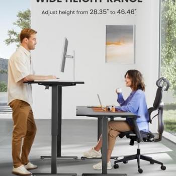 ErGear Height Adjustable Electric Standing Desk, 48 x 24 Inches Sit Stand up Desk, Memory Computer Home Office Desk (Black)