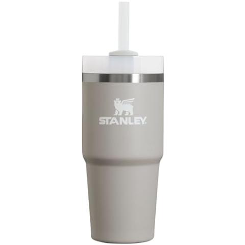 Stanley Quencher H2.0 FlowState Stainless Steel Vacuum Insulated Tumbler with Lid and Straw for Water, Iced Tea or Coffee, Smoothie and More, Ash, 14oz