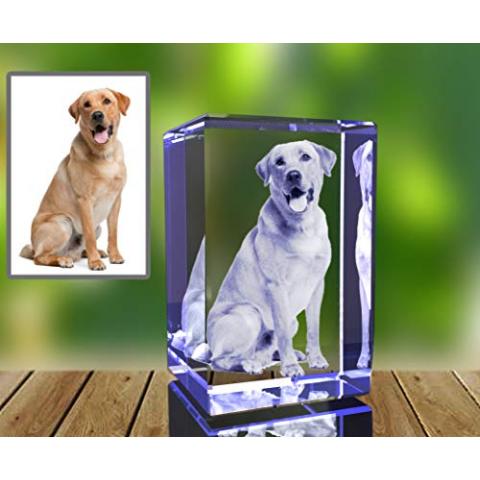 Personalized Photo Gift | 3D Engraved Crystal Keepsake | Gift | Décor | Collectible| Souvenir | Dogs Or Cats Personalized Photo Frame