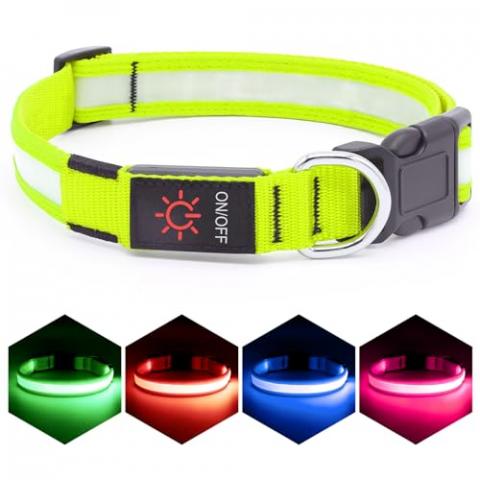 Vizpet LED Dog Collar, Light Up Dog Collar Adjustable USB Rechargeable Super Bright Safety Light Glowing Collars for Dogs(Large,Green)