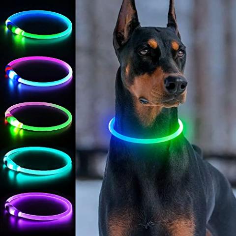 Light Up Dog Collars, Multi-Color USB Rechargeable Dlitk LED Dog Collar 1 Count, TPU Cuttable Size Glow Collar for Dogs, Dog Collar Light, Please Do Not Use Fast Charging (Green+Blue)