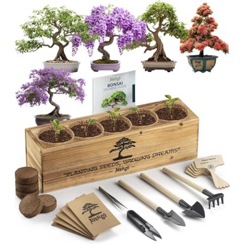 Bonsai Tree Kit – 5X Unique Japanese Bonzai Trees | Complete Indoor Starter Kit for Growing Plants with Bonsai Seeds, Tools & Planters – Gardening Gifts for Women & Men