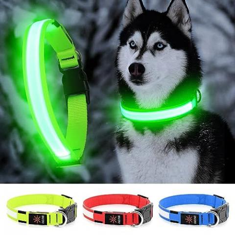 LED Dog Collar- Light up Dog Collars, LED Collar Waterproof, Adjustable Flashing Dog Collar, Rechargeable Dog Collar Visiblity & Safety for Your Dogs (Green, Large)