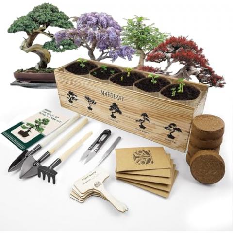 Bonsai Tree Kit, 5 X Unique Japanese Bonsai Trees, Include Bonsai Tree Seeds, Tools, Complete Indoor Bonsai Starter Kit for Growing Bonsai Plants, Gardening Gifts for Women & Men