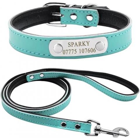 Didog Soft Leather Padded Custom Dog Collar and Leash Set with Personalized Engraved Nameplate,Fit Small Medium Dogs,Blue,XS Size