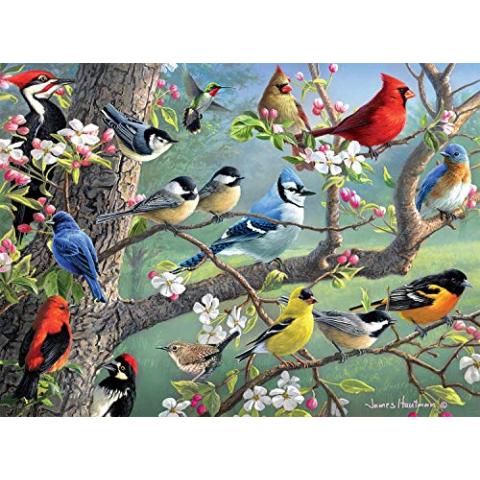 Buffalo Games - Hautman Brothers - Birds in an Orchard - 1000 Piece Jigsaw Puzzle