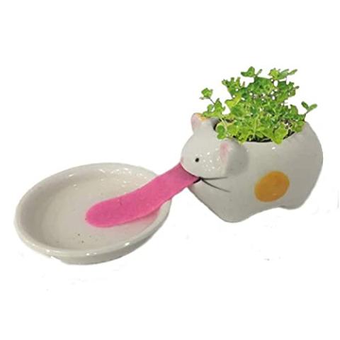 BLOSSOMLIFE Automatic Self Watering Animal Planter Creative Animal Tongue Cultivation DIY Mini Ceramic Plant Pots Desktop Decor (Cat) (Mini Ceramic Pot-01)