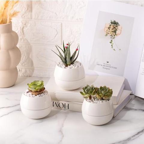 Willowy 3.5 Inch Small Succulent Pots - 3pk, Mini Succulent Pots, Ceramic Succulent Pots, Mini Ceramic Pots, White Succulent Pots, Small White Pots for Plants